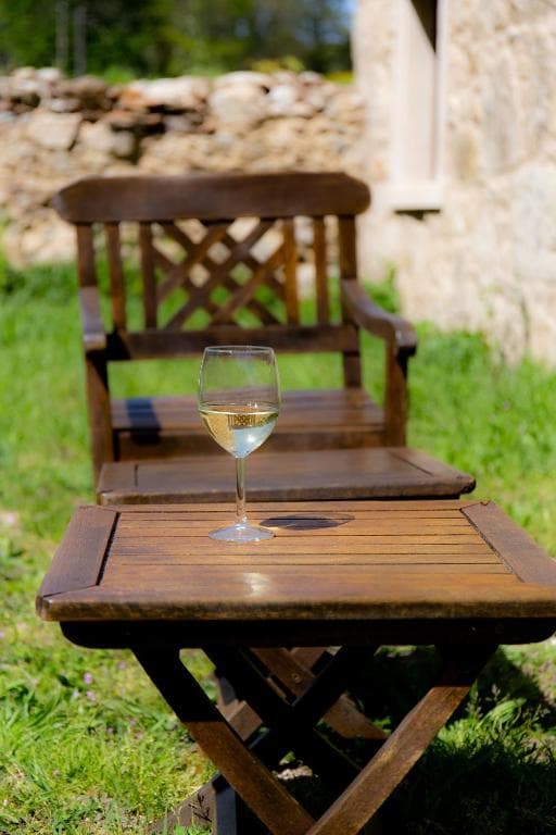 Copa de vino blanco en una mesa del jardín
